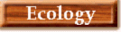 Ecology