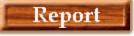 Report